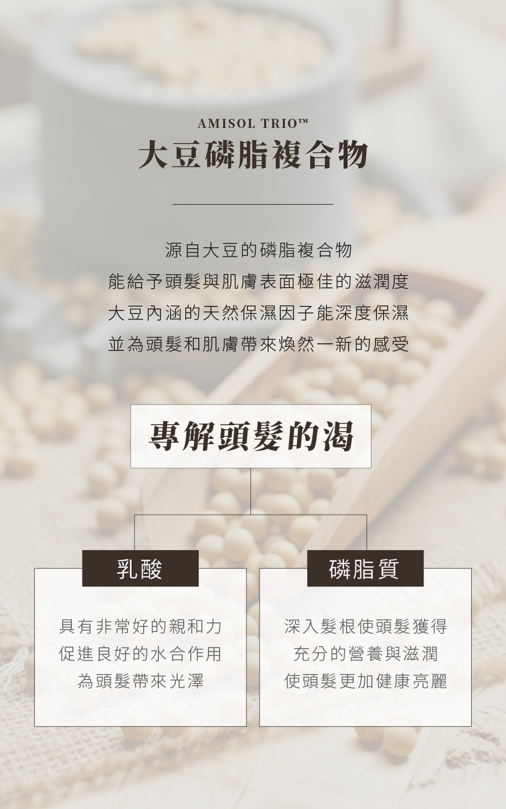 大豆磷脂复合物